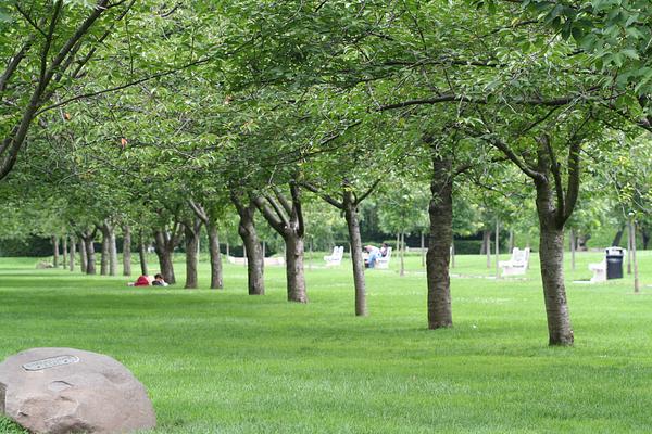 Brooklyn Botanic Garden