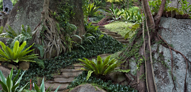 Tamarind Springs Forest Spa