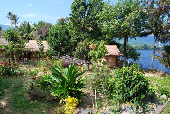 Green House Kampot