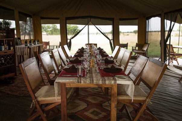 Kimondo Camp, Asilia Africa