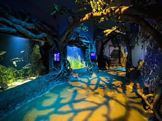 Sea Life Sydney Aquarium