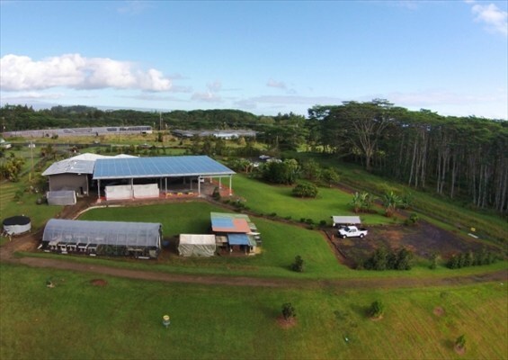 Hilo Coffee Mill