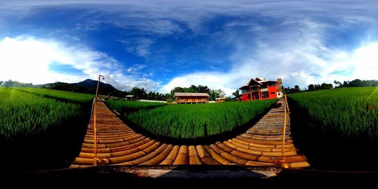 Guerrera Rice Paddy Villas