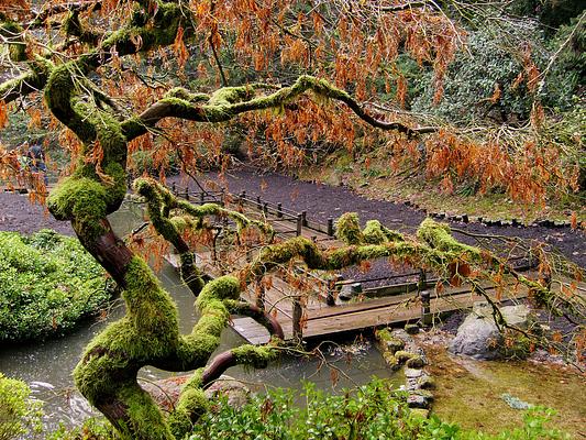 Portland Japanese Garden