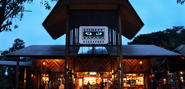 Night Safari
