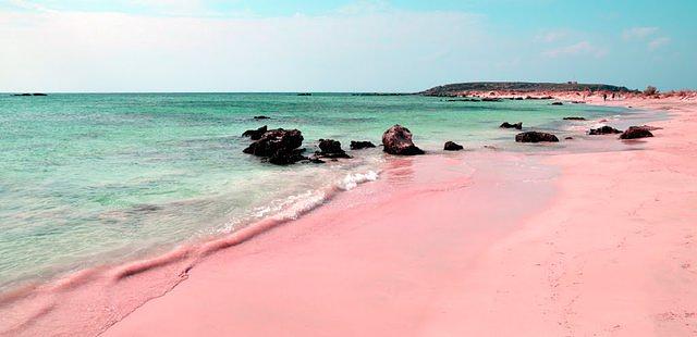 Pink Sands Beach