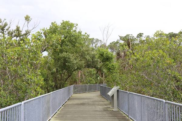 Rookery Bay National Estuarine Research Reserve