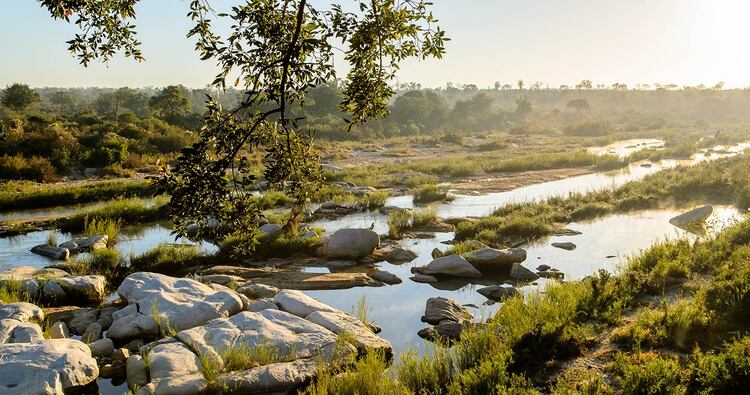 Sabi Sand Game Reserve