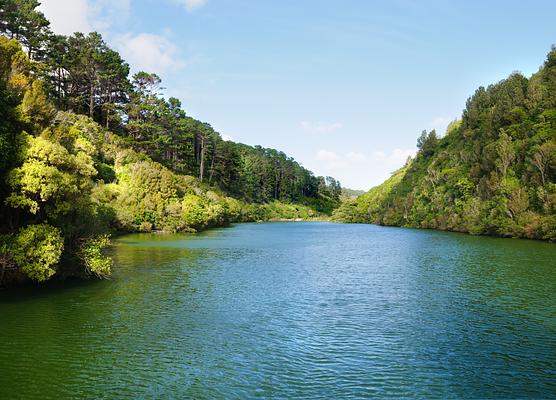 ZEALANDIA Ecosanctuary