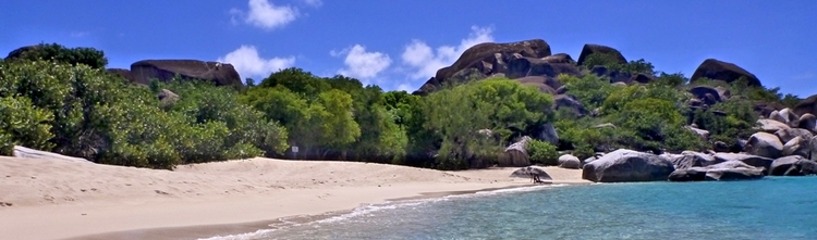 Guavaberry Spring Bay Vacation Homes
