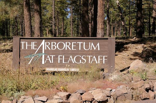 The Arboretum at Flagstaff