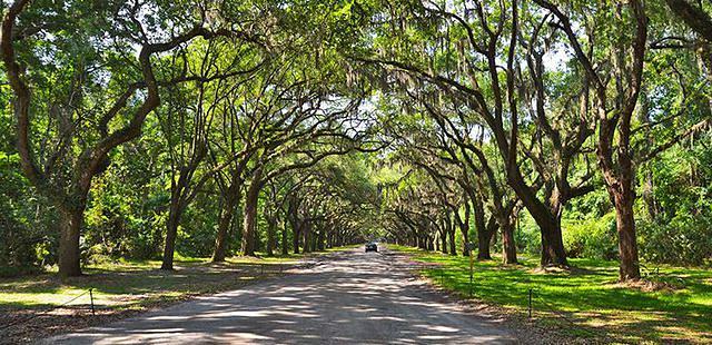 Wormsloe Historic Site