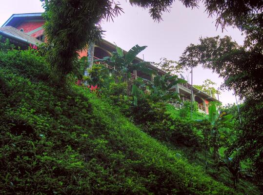 Cuffie River Nature Retreat