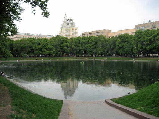 Patriarch's Pond