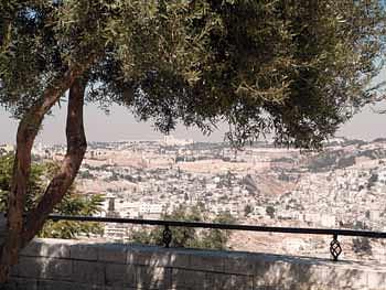 Tayelet Haas Promenade