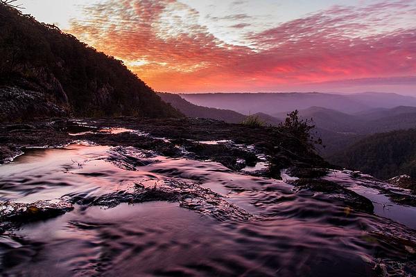 Springbrook National Park