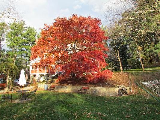 The Applewood Manor Bed & Breakfast