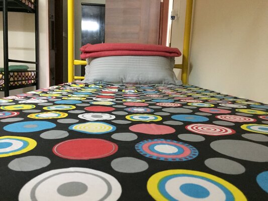 Beehive Hostel