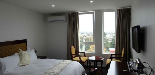 Areca Launceston