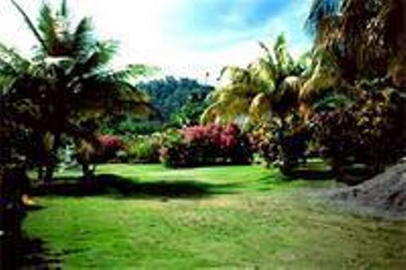 Little Shaw Park Guest House