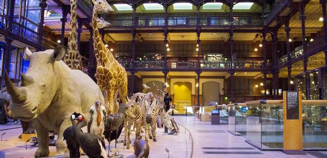 Grande Galerie de l'Evolution