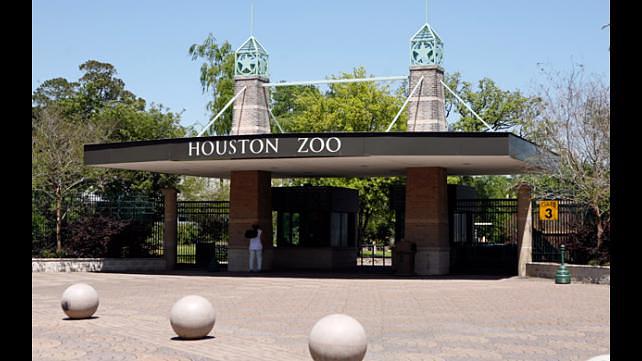 Houston Zoo