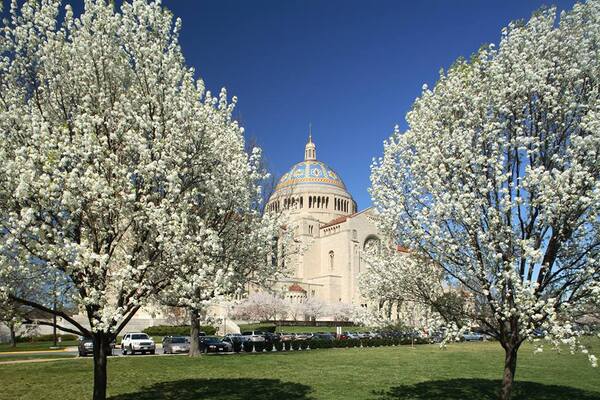 Basilica of the National Shrine of the Immaculate Conception