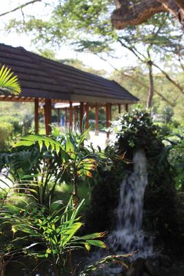 Lake Naivasha Simba Lodge