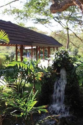 Lake Naivasha Simba Lodge