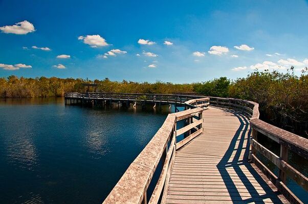 Anhinga Trail