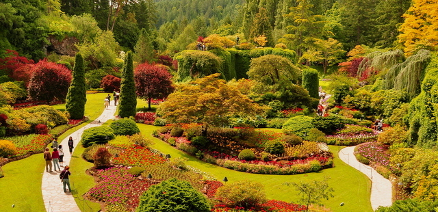 The Butchart Gardens