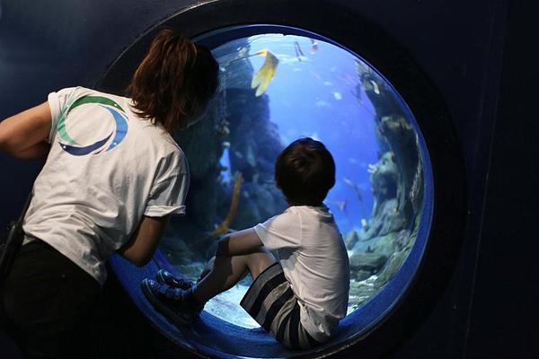 National Marine Aquarium