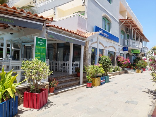 Pensao Nha Terra
