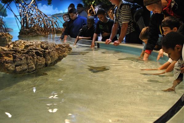 New England Aquarium