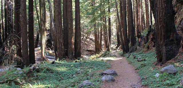 Limekiln State Park