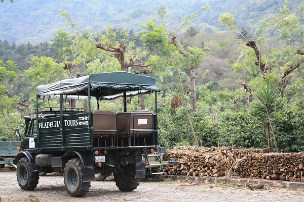 Finca Filadelfia Coffee Resort & Tours