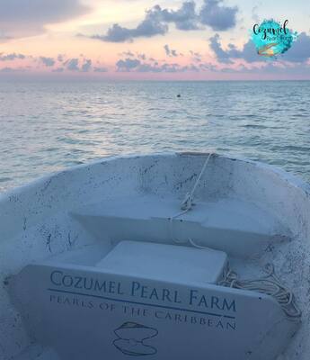 Cozumel Pearl Farm