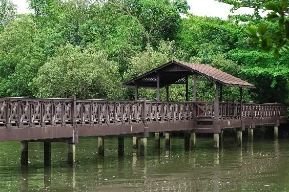 Sungei Buloh Wetland Reserve