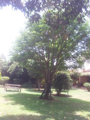 Airport Guesthouse Entebbe