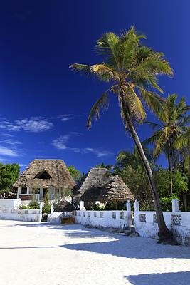 Red Monkey Lodge Zanzibar