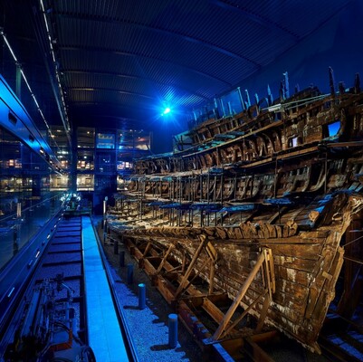 The Mary Rose