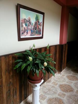 Hotel Andalucia