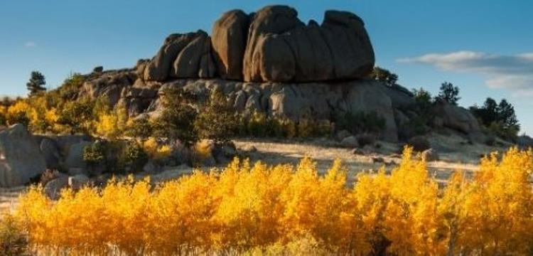 Routt National Forest