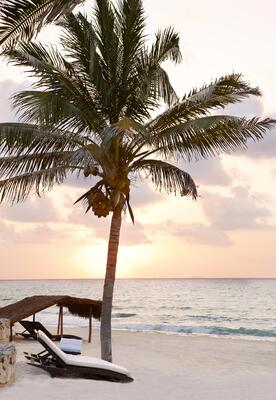Viceroy Riviera Maya, a Luxury Villa Resort
