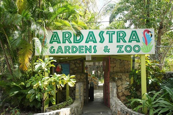Ardastra Gardens & Wildlife Conservation Centre