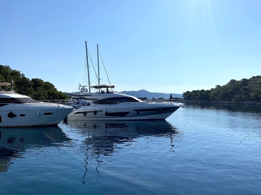 Palmizana