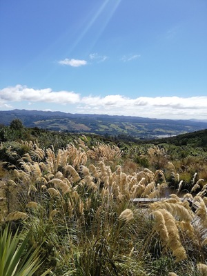 Orokonui Ecosanctuary