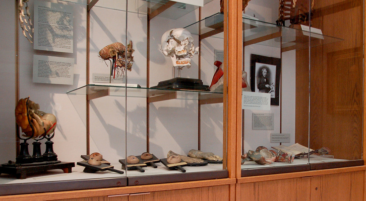 Warren Anatomical Museum