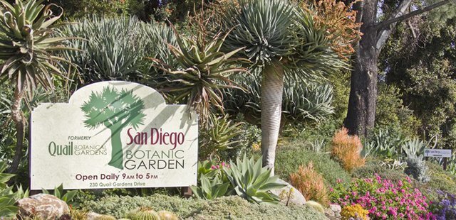 San Diego Botanic Garden
