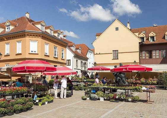 Dolac Market